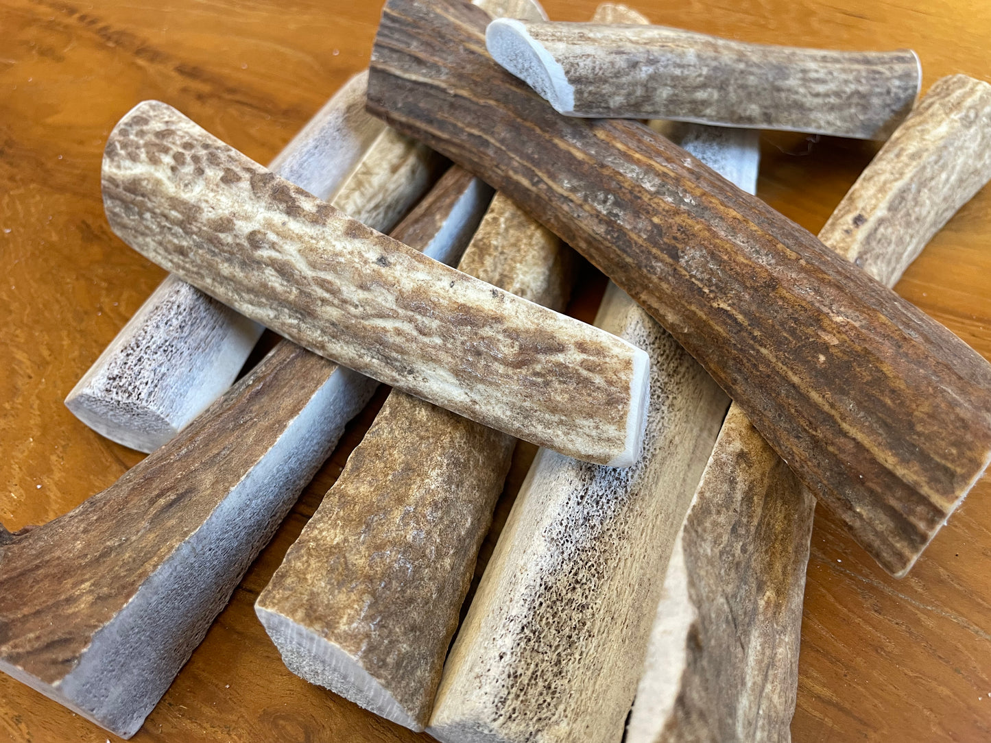 Elk Antler Treat for Dogs