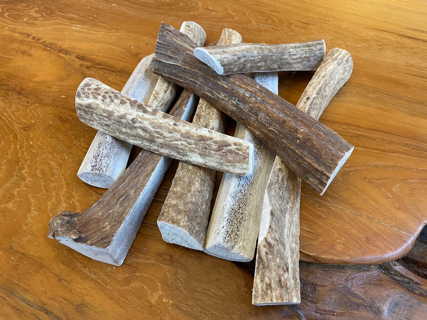 Elk Antler Treat for Dogs